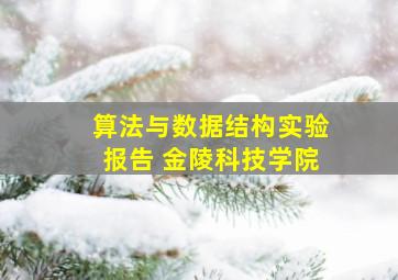 算法与数据结构实验报告 金陵科技学院